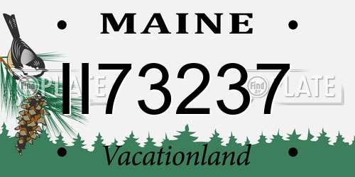 II73237 Maine License Plate