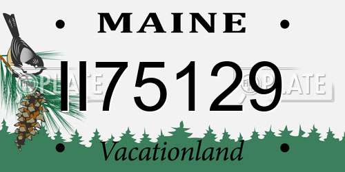 II75129 Maine License Plate