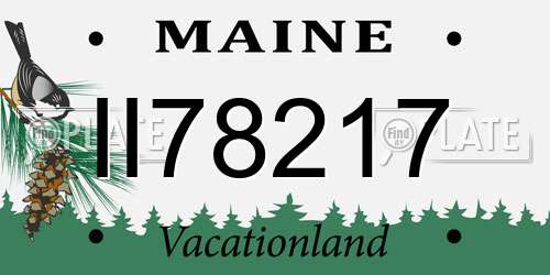 II78217 Maine License Plate