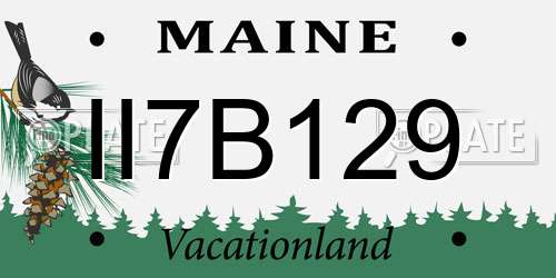 II7B129 Maine License Plate