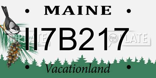 II7B217 Maine License Plate