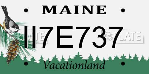 II7E737 Maine License Plate