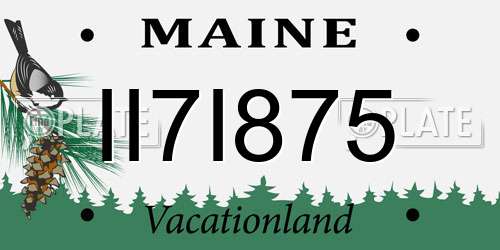 II7I875 Maine License Plate