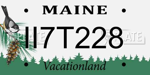 II7T228 Maine License Plate