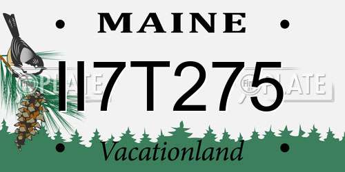 II7T275 Maine License Plate