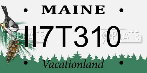 II7T310 Maine License Plate