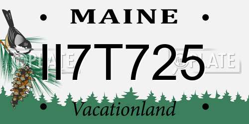 II7T725 Maine License Plate