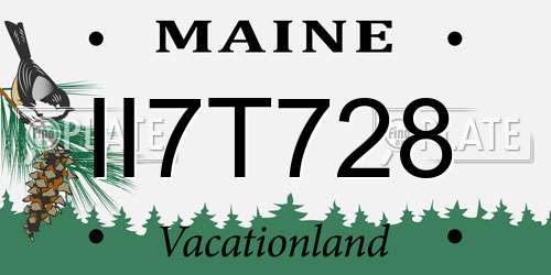 II7T728 Maine License Plate