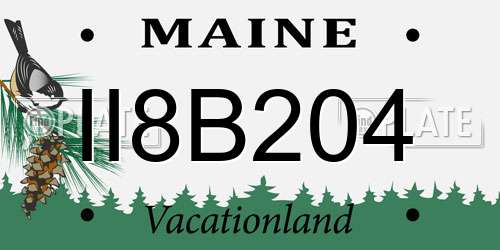 II8B204 Maine License Plate