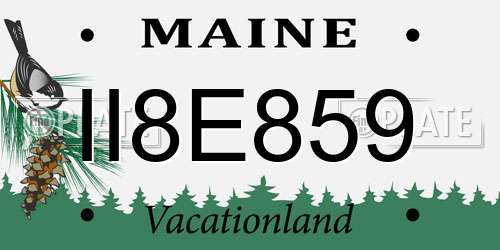 II8E859 Maine License Plate
