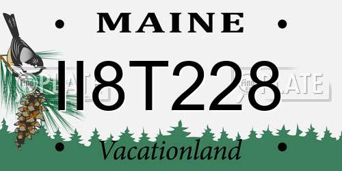 II8T228 Maine License Plate