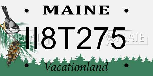 II8T275 Maine License Plate