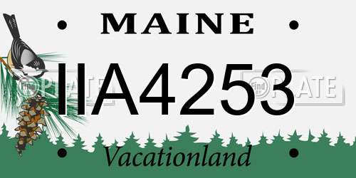 IIA4253 Maine License Plate