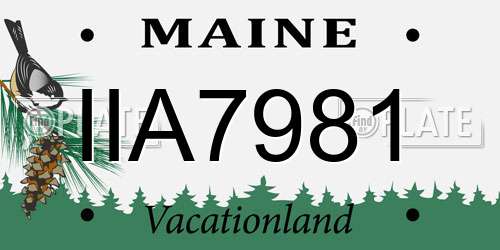 IIA7981 Maine License Plate