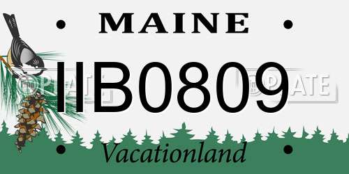 IIB0809 Maine License Plate