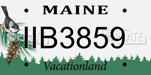 IIB3859 Maine License Plate