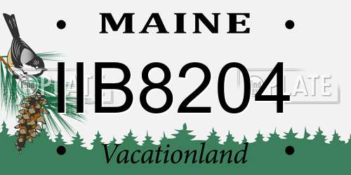 IIB8204 Maine License Plate