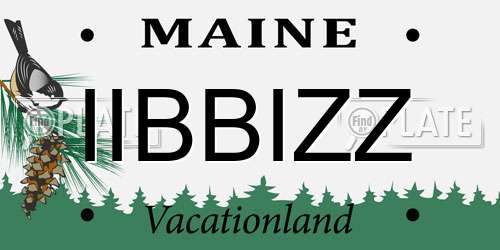 IIBBIZZ Maine License Plate