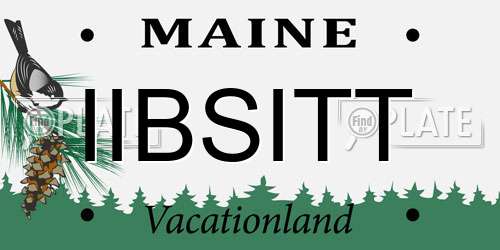 IIBSITT Maine License Plate