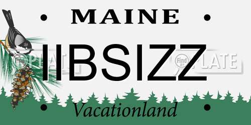 IIBSIZZ Maine License Plate