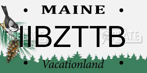 IIBZTTB Maine License Plate