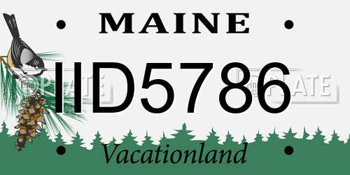 IID5786 Maine License Plate