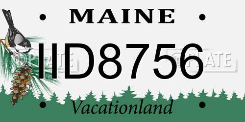 IID8756 Maine License Plate