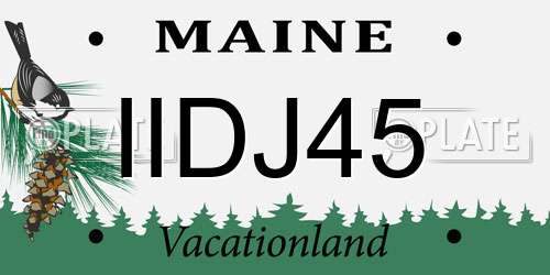 IIDJ45 Maine License Plate