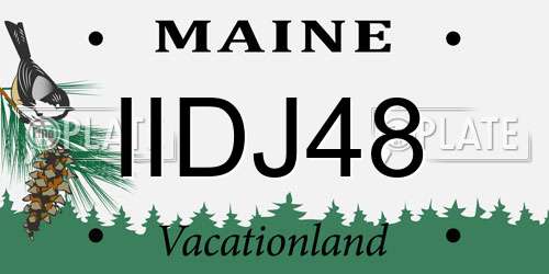 IIDJ48 Maine License Plate