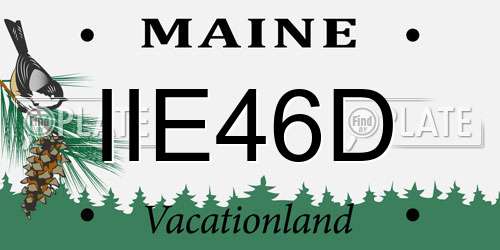 IIE46D Maine License Plate