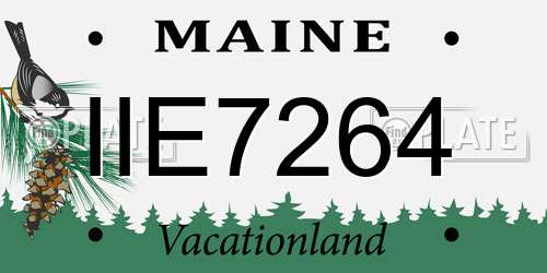 IIE7264 Maine License Plate