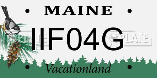 IIF04G Maine License Plate