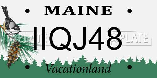 IIQJ48 Maine License Plate