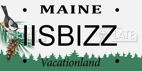 IISBIZZ Maine License Plate