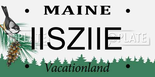 IISZIIE Maine License Plate