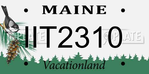 IIT2310 Maine License Plate
