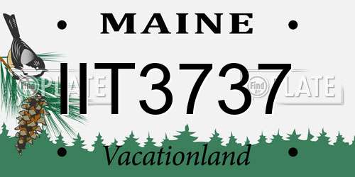IIT3737 Maine License Plate