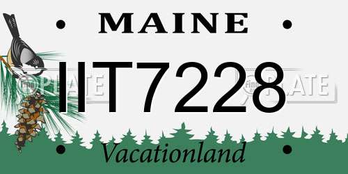 IIT7228 Maine License Plate