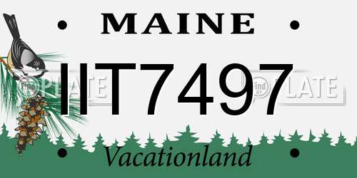 IIT7497 Maine License Plate