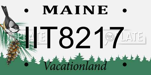 IIT8217 Maine License Plate