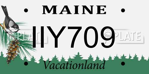 IIY709 Maine License Plate