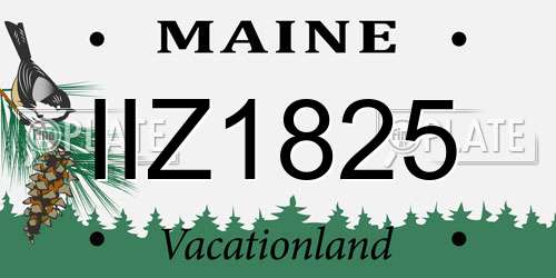 IIZ1825 Maine License Plate