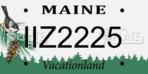IIZ2225 Maine License Plate