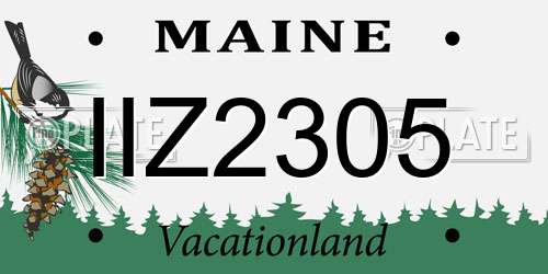 IIZ2305 Maine License Plate