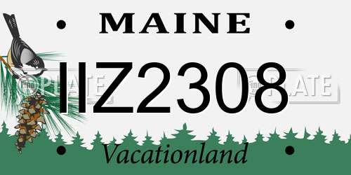 IIZ2308 Maine License Plate