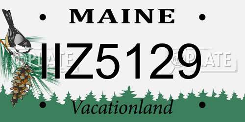 IIZ5129 Maine License Plate