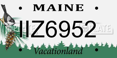 IIZ6952 Maine License Plate
