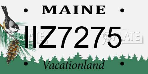 IIZ7275 Maine License Plate