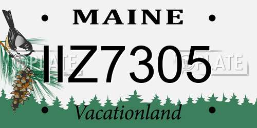 IIZ7305 Maine License Plate