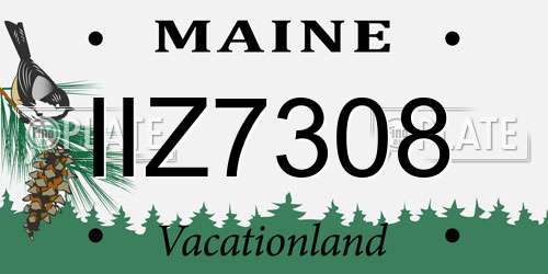 IIZ7308 Maine License Plate